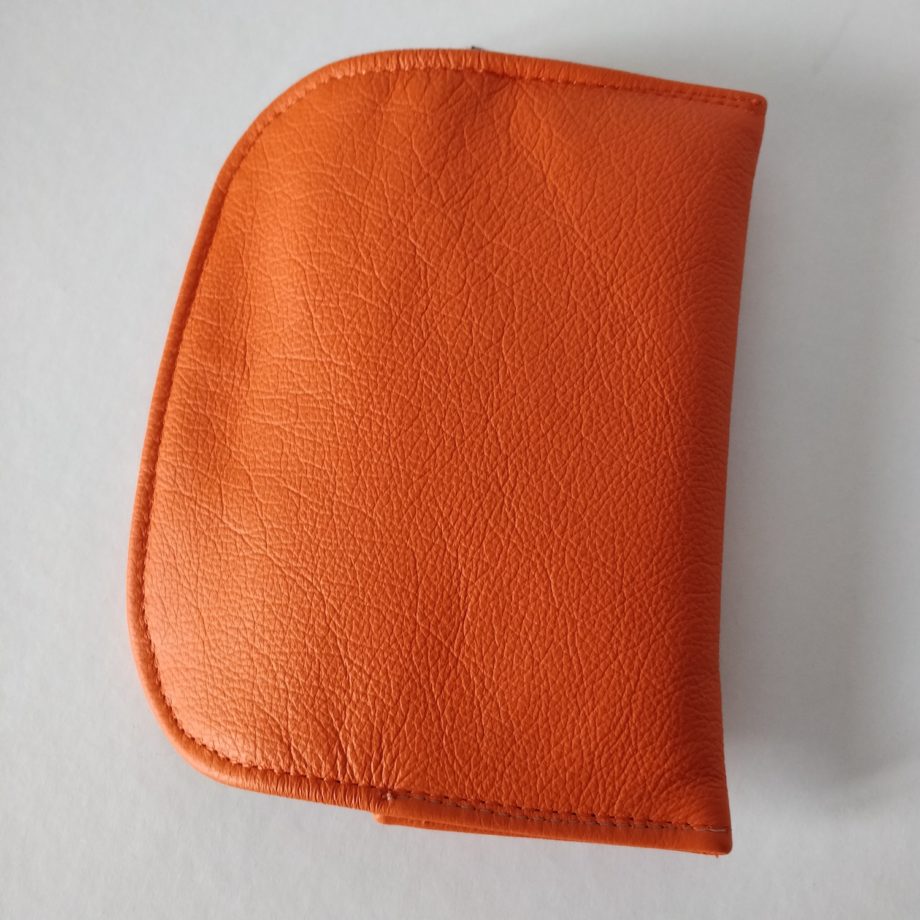 Etui à lunettes cuir